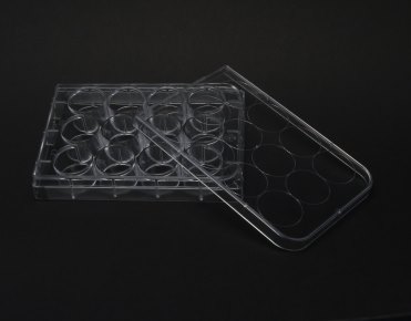 Wellplate